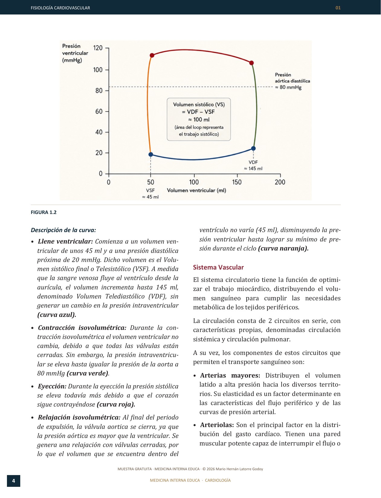 Cuarta página del capítulo Fisiología cardiovascular